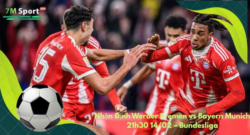 Đội hình dự kiến trước trận Werder Bremen vs Bayern Munich Đội hình dự kiến trước trận Werder Bremen vs Bayern Munich
